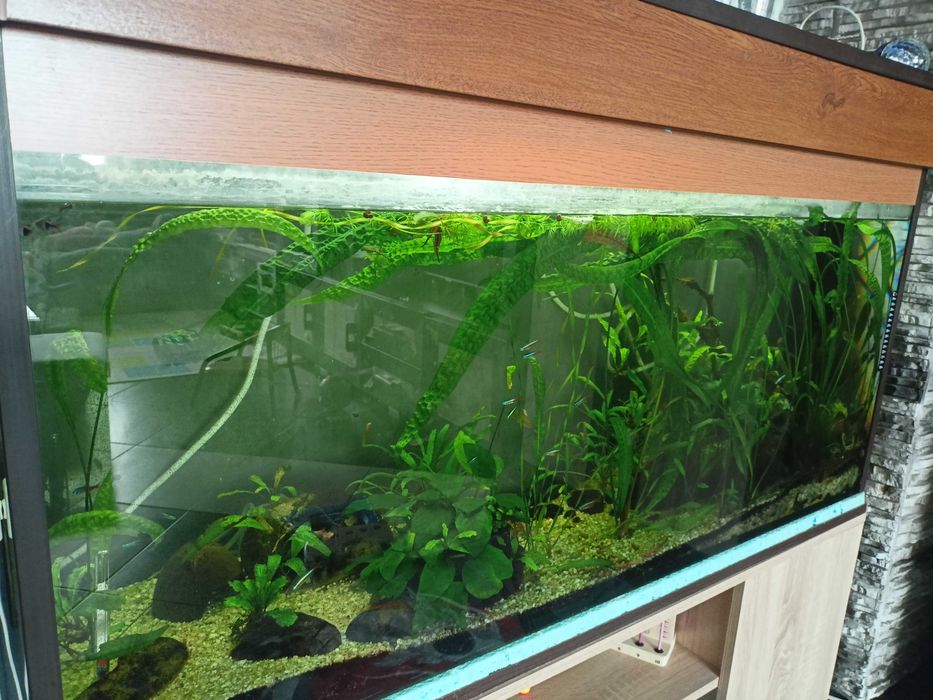 Аквариум 200л. с вътрешен филтър, шкаф