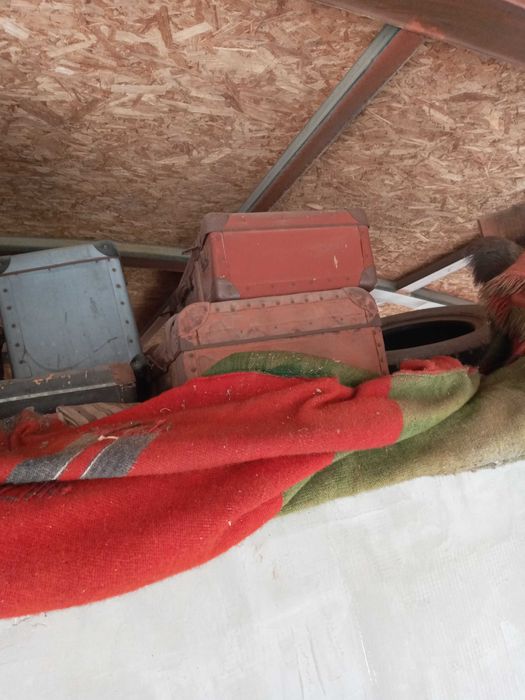 Куфари антика за ценители