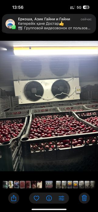 Морозильник 4х4х2,7м камера реф