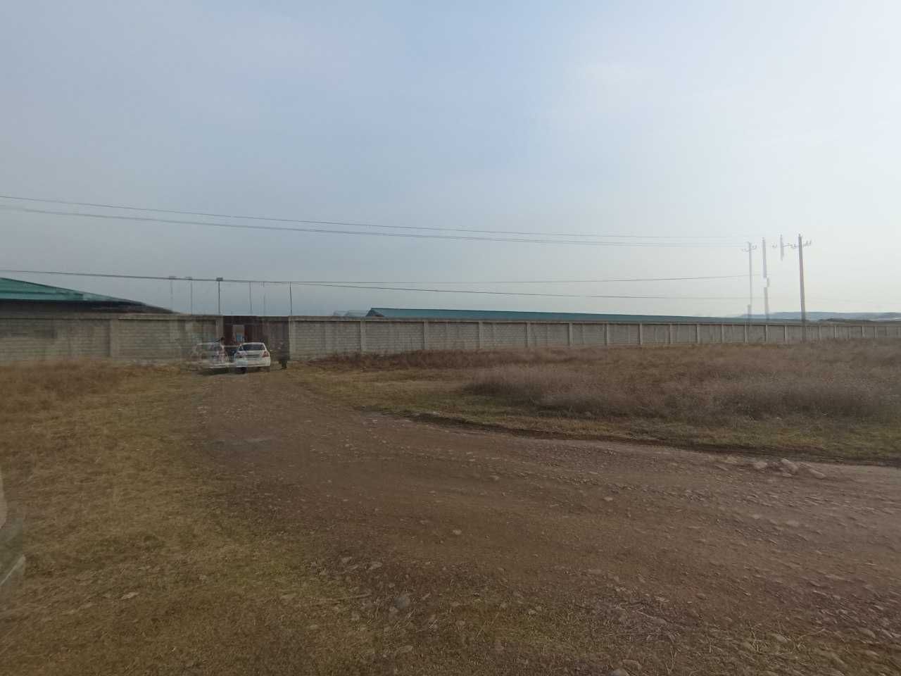 Yuqorichirchiq tumanida Parrandachilik fermasi sotiladi