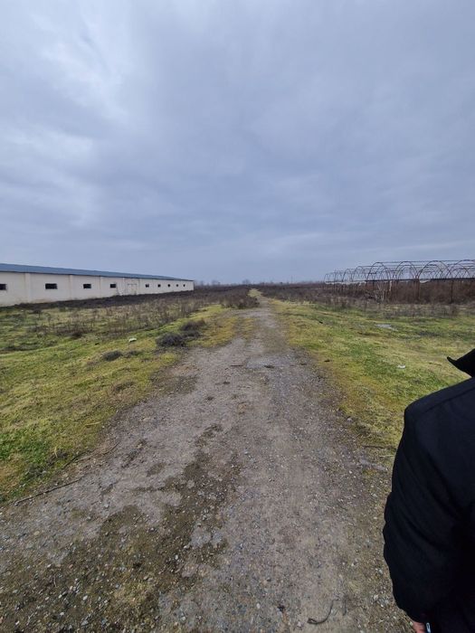 Йер бизнес учун 9 гектар