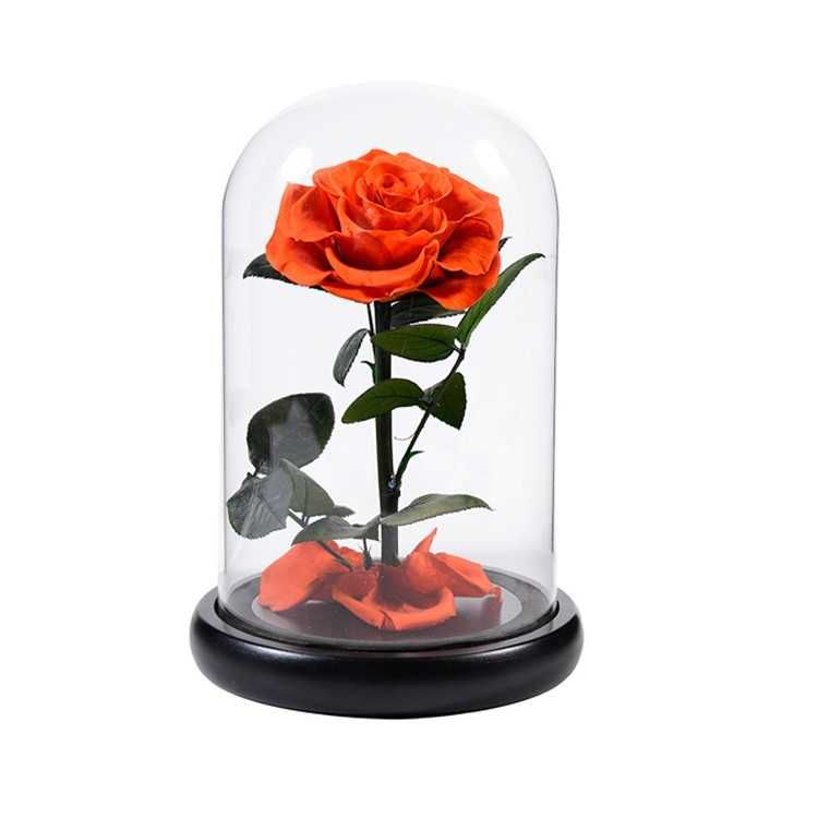 Вечна неувяхваща роза в стъкленица СВЕТЕЩА LED Жена Свети Валентин