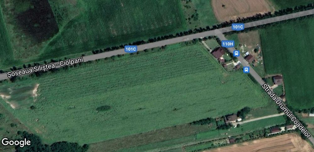 SUPER PROMO: Stradal Intravilan Ciolpani-Ilfov