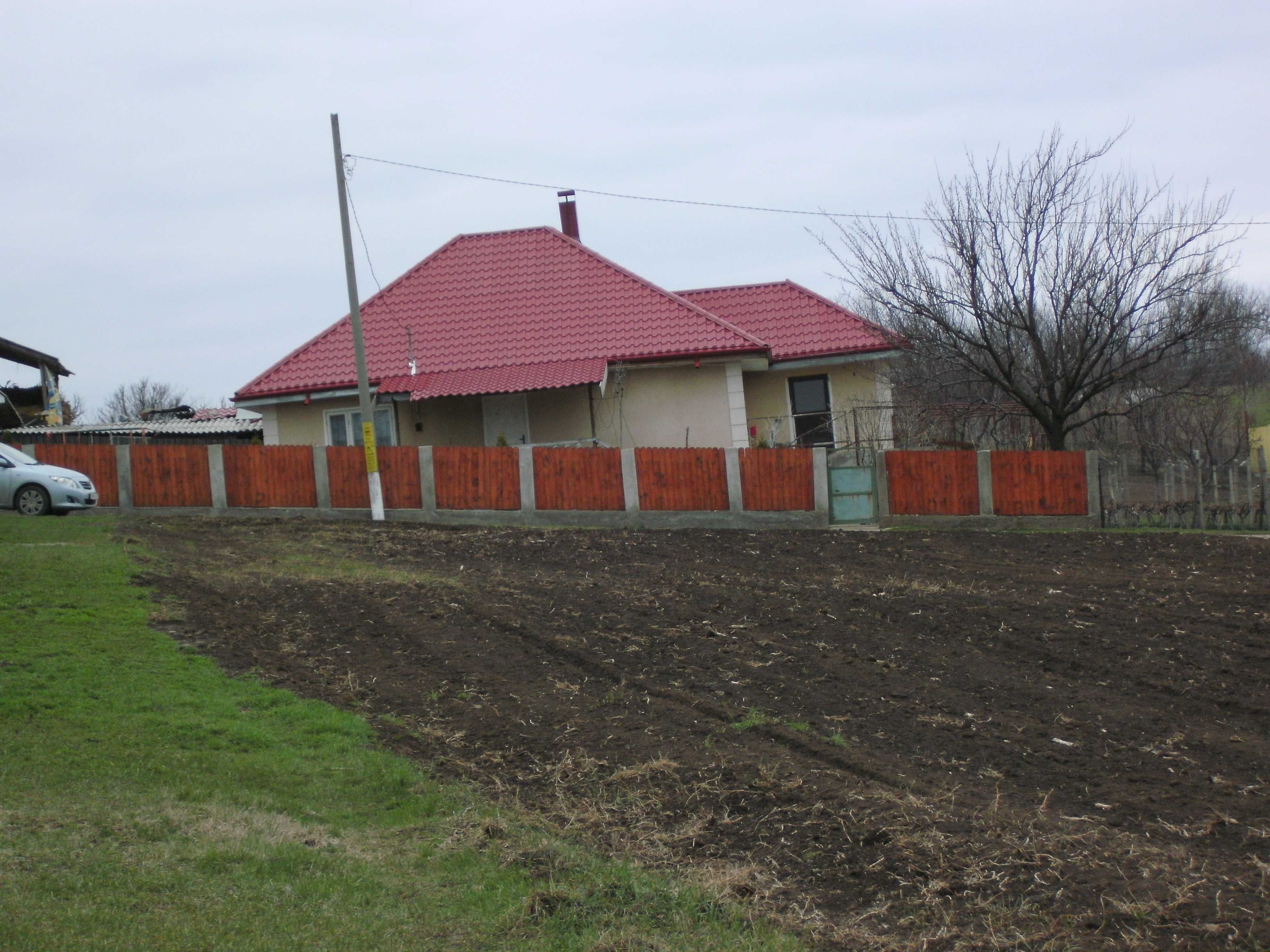Teren intravilan Chicerea