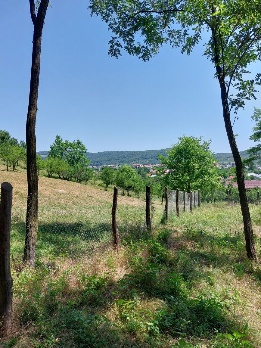 Vălenii de Munte, strada Poet Grigore Alexandrescu - teren bun pt casă