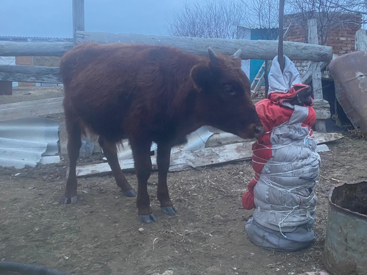 Баспактар сатылады