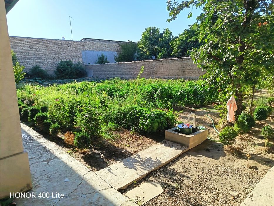 Ibn sino taxta bozorni oldidan uchaska sotiladi