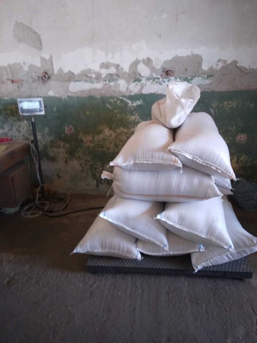 Vând 600kg de grâu