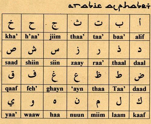 Predau ore de araba nivel începător/intermediar