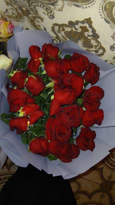 Красный Роза 21 штук