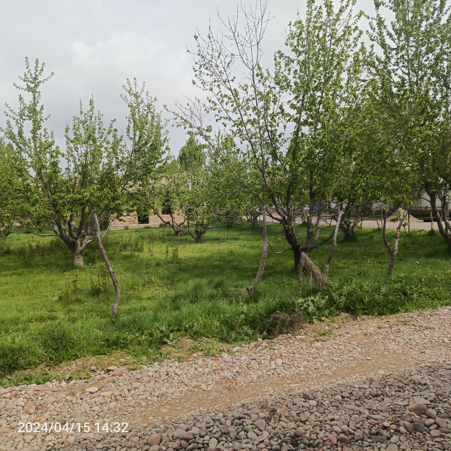 Ikki bolib berishga belishamiz kelib korib gaplashiladi  toshkent