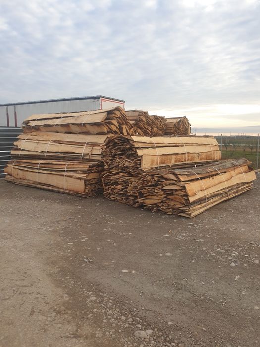 Cherestea LATUROAIE rasinoase