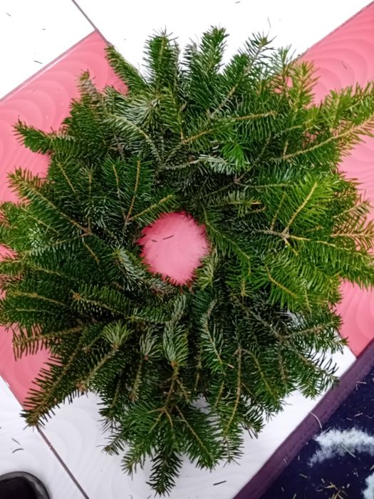 10 coronite brad natural