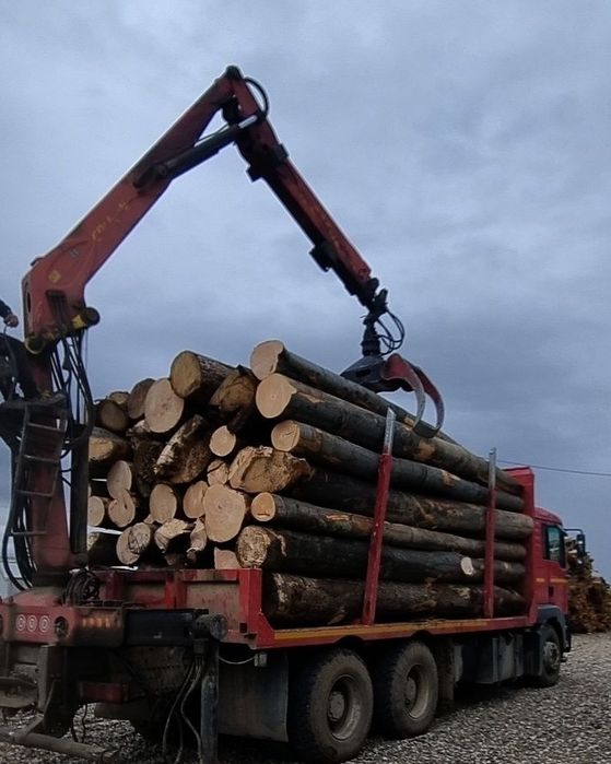 Lemne de foc  deseuri laturoaie rasinoase paleti mari bustean fag