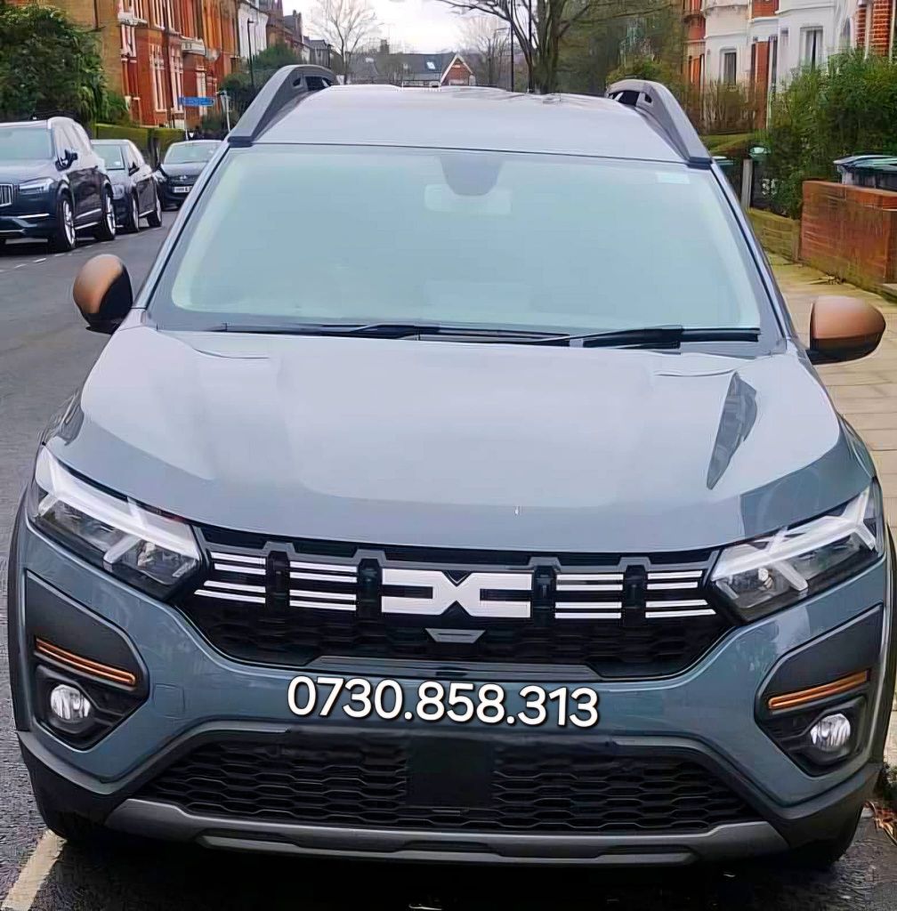 Jogger reverse camera video marșarier Dacia Logan Sandero Navigație
