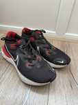 Adidasi Nike Renew