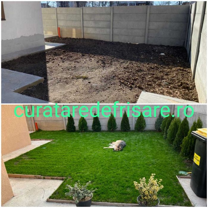 Curatare eliminare vegetatie / Defrisare terenuri / Tocare crengi