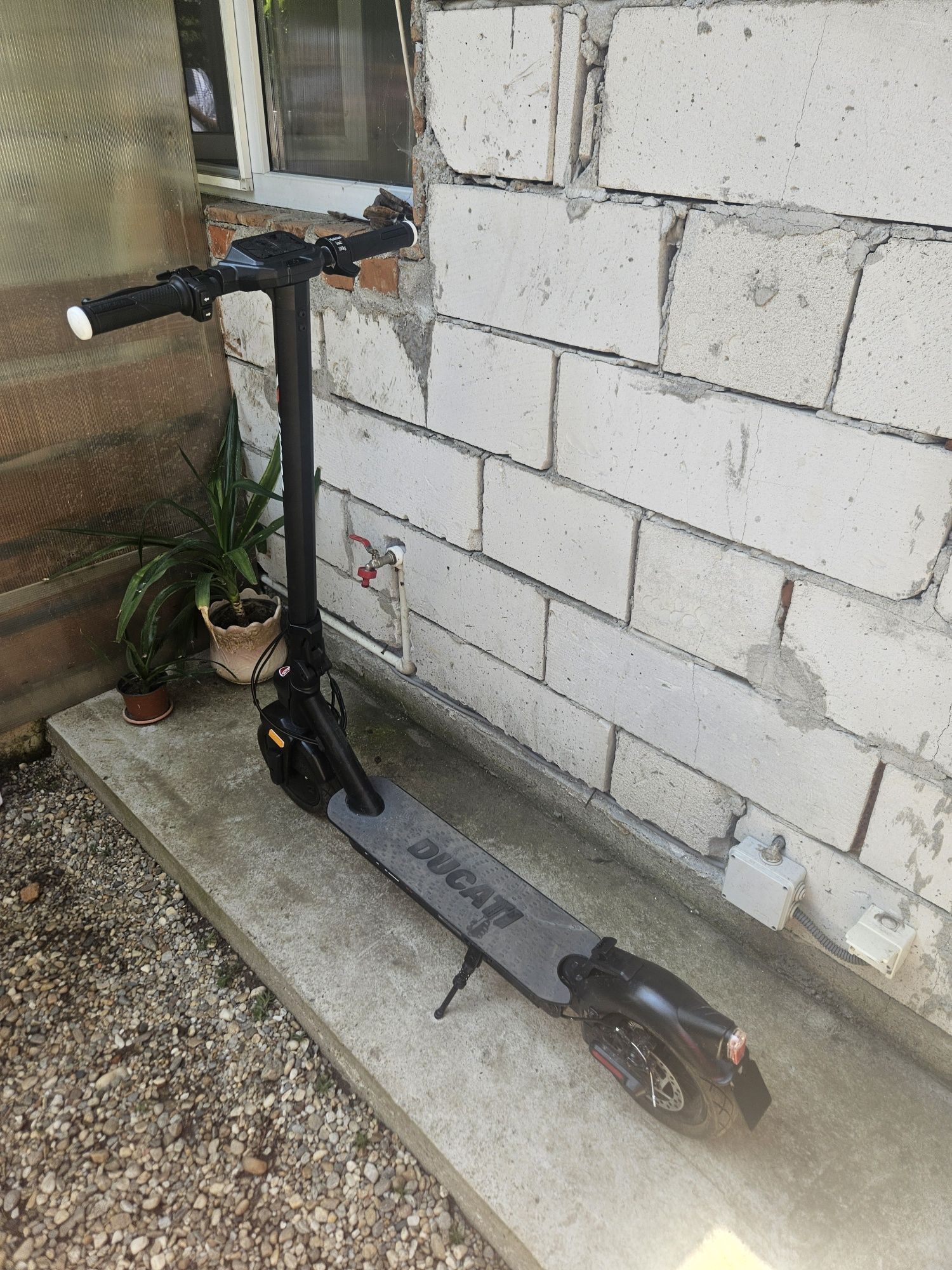 Trotineta ducatii 2 pro