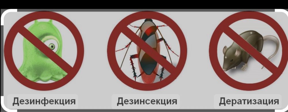 Дезинфекция кандала(клопы) бүрге(блоха) таракан