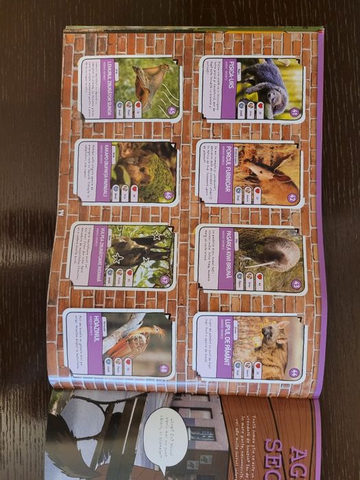 Catalog mega image completat