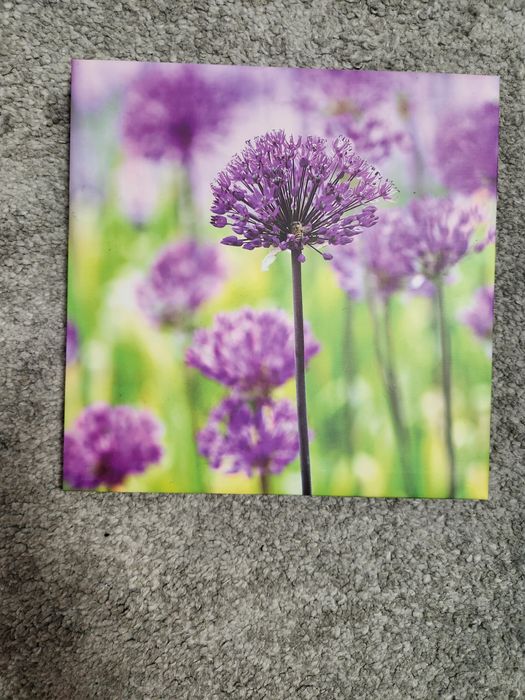 Vand 4 tablouri, canvas, noi