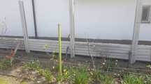 Gard placi stalpi Beton Prefabricat Sipca