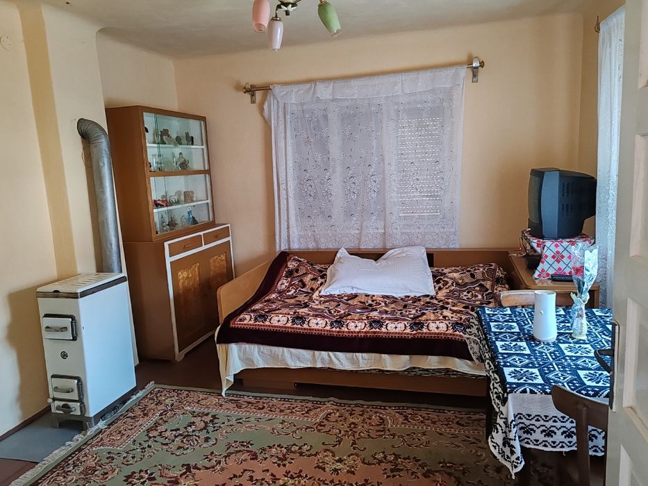Casă de vânzare cu grădină