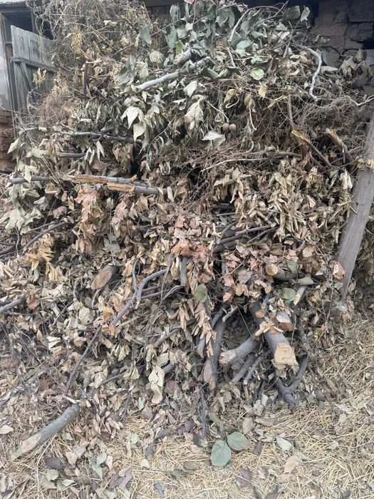 Утин Дрова бир мошин