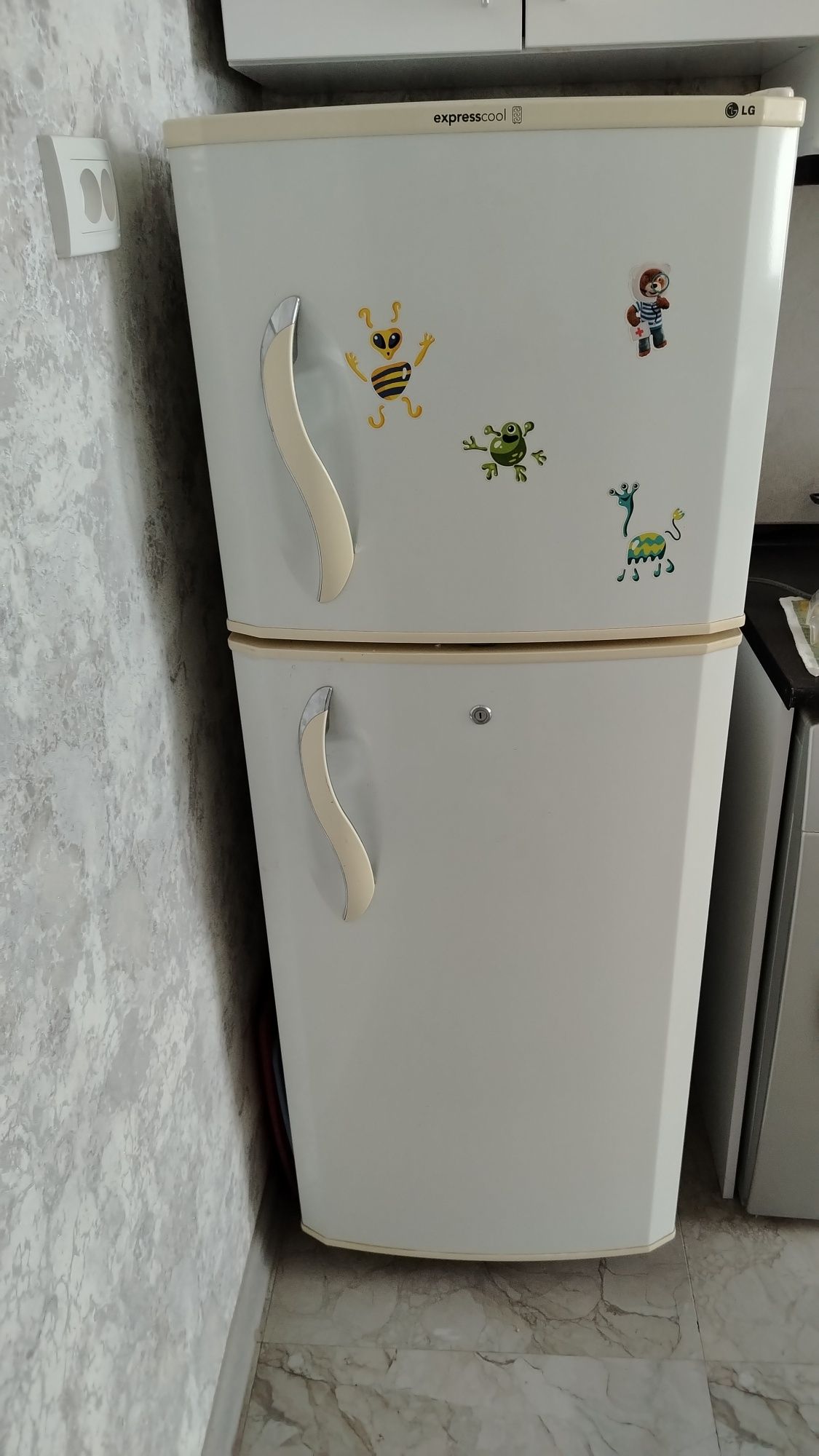 Холодильник LG Express cool