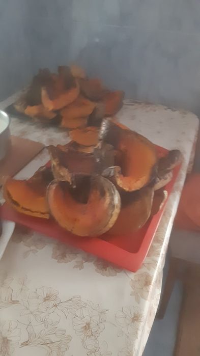 Vând Dovleac de copt ofertă 1,3 lei kg