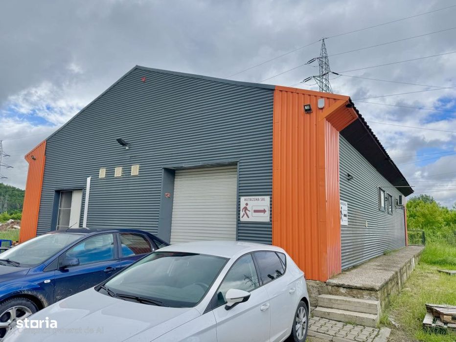 Inchiriere Spatiu industrial/HALA – 234 mp , Calea Chisinaului