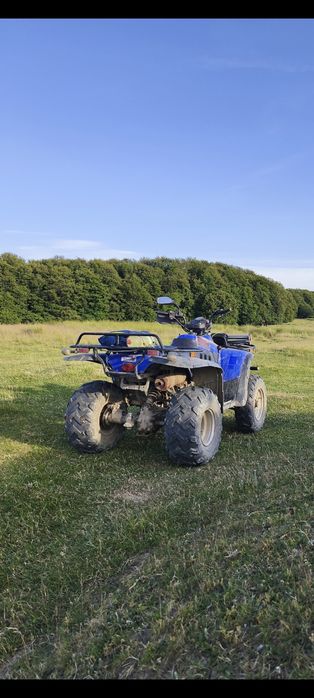 Linhai Worker Hytrack 300cc 4x4