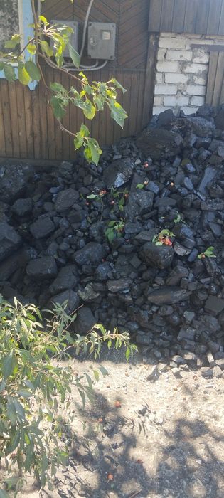 Уголь каражира и калиброванный