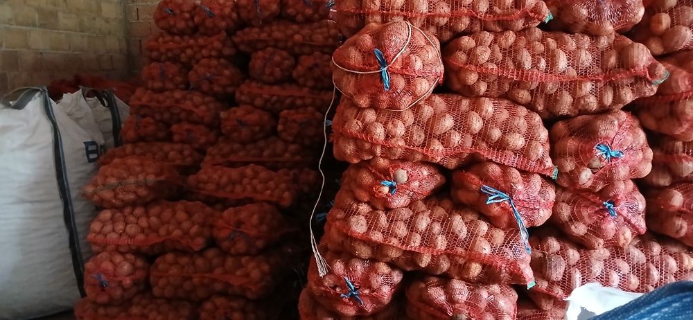 Cartof consum alb sí rosu