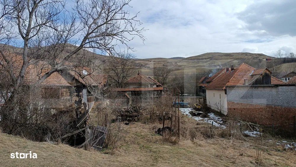 Casa veche cu teren generos de 5.300 mp – oportunitate de investitie