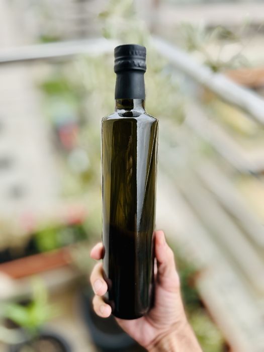 Epirus Gold – ulei de măsline extravirgin din inima Greciei