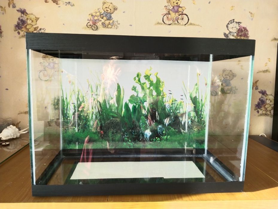 Продам аквариум 35л.новый с крышкой.
