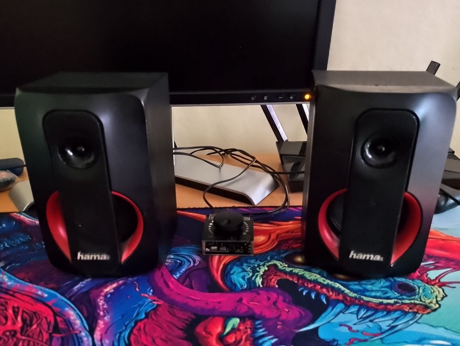 Sistem audio 2.0 hama
