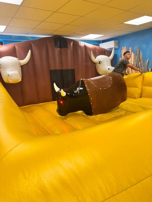 Taur mecanic de închiriat