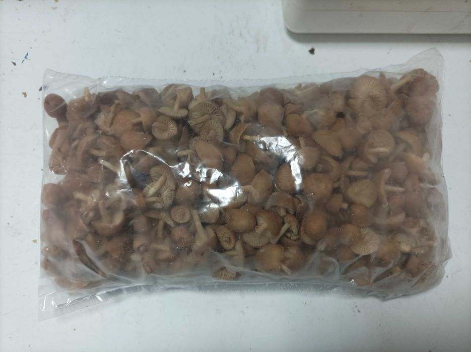 Замразени Манатарки,Горски плодове