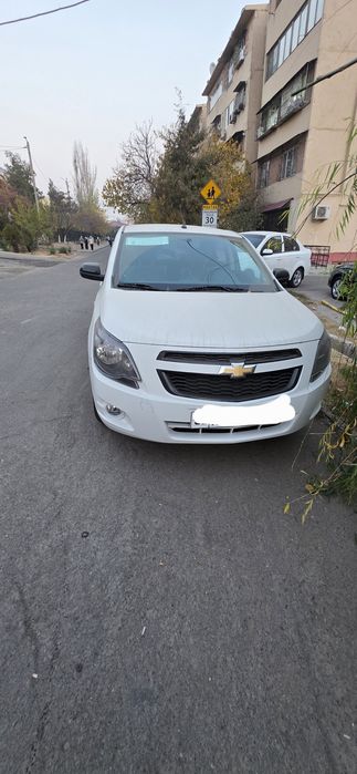 Srochna Cobalt MGD MCM fulldan 2026 25