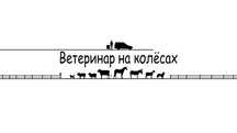 Ветеринар на выезд. Ветеринар. Ветеринар на колёсах