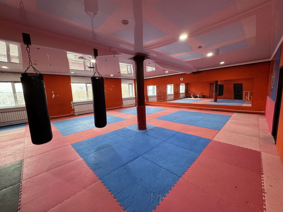 татами - даянг г.Темиртау