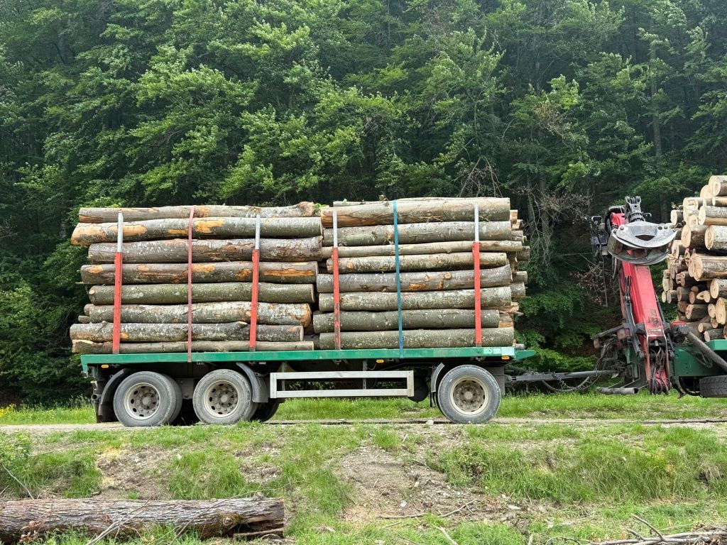 Vând lemn de foc esență tare verde și uscat  posibilitate de transport