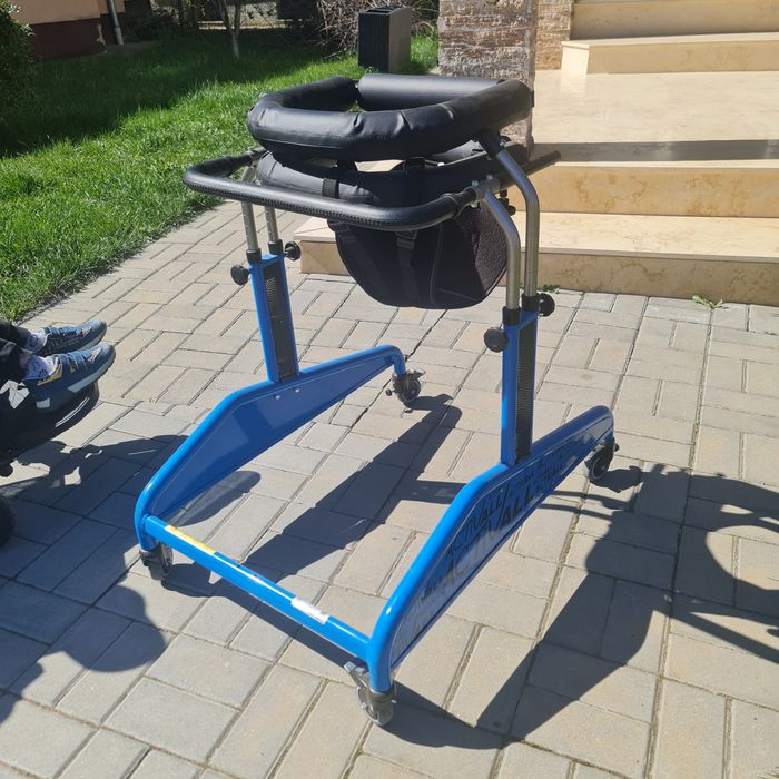 Vand cadru pentru copii cu nevoi speciale .