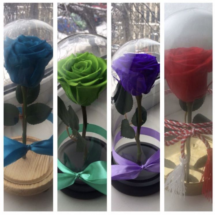 Trandafiri naturali criogenati in cupola diferite culori