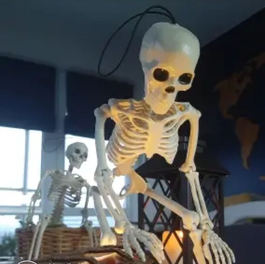 Хэллоуин, скелеты новые -сгибается 35 см длина