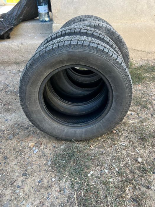 Шины дөңгелекккккк