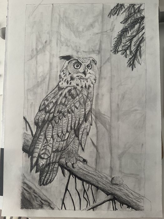 Desene alb negru animale-portret la comanda