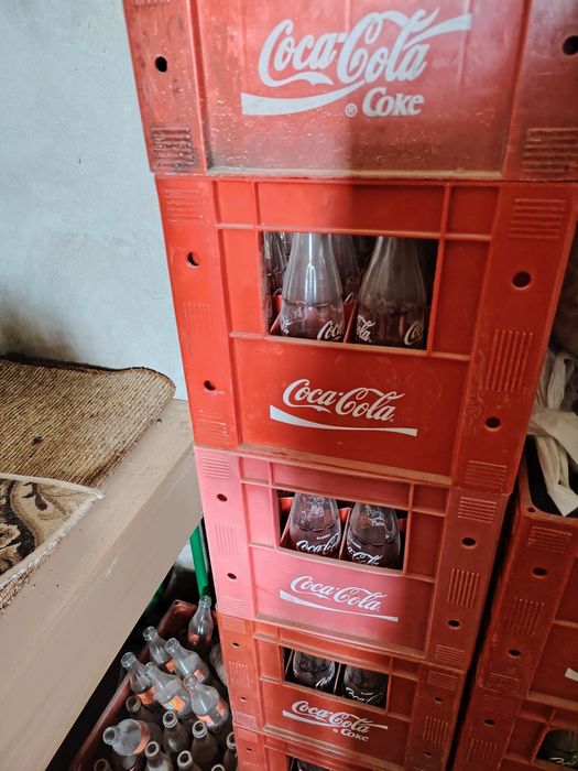 Coca cola tara shisha
